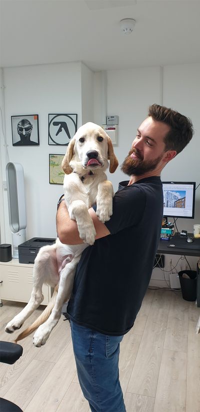Dyson the dog giving Josh dev tips
